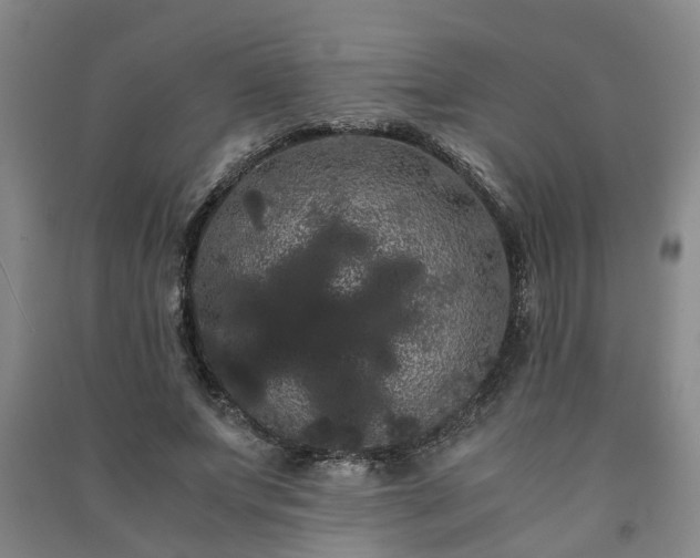 X0000091240687200708161736