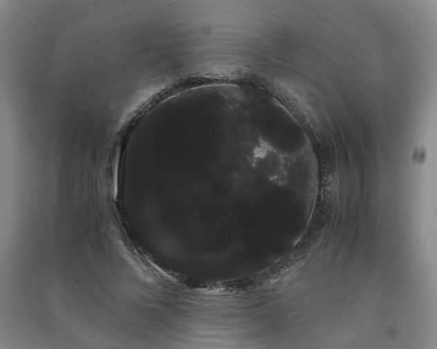 X0000091240688200708161736