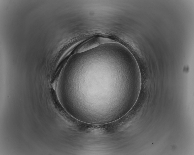 X0000091240689200708161736
