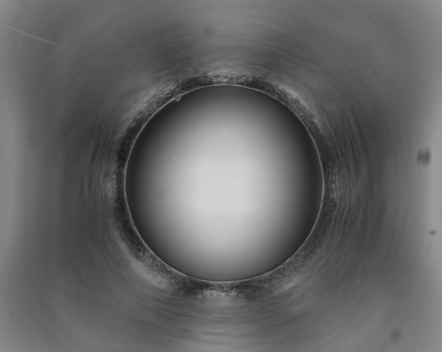 X0000091240690200708161736