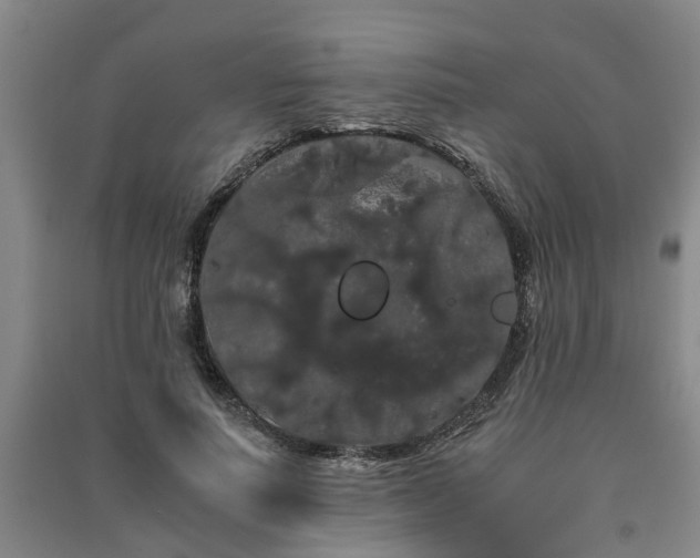 X0000091240691200708161736