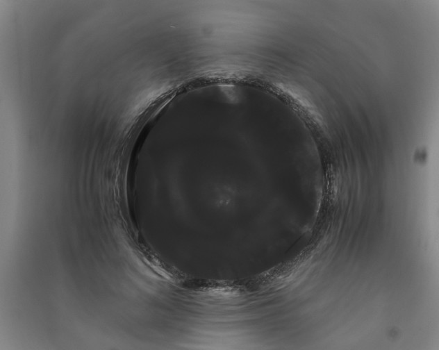 X0000091240692200708161736