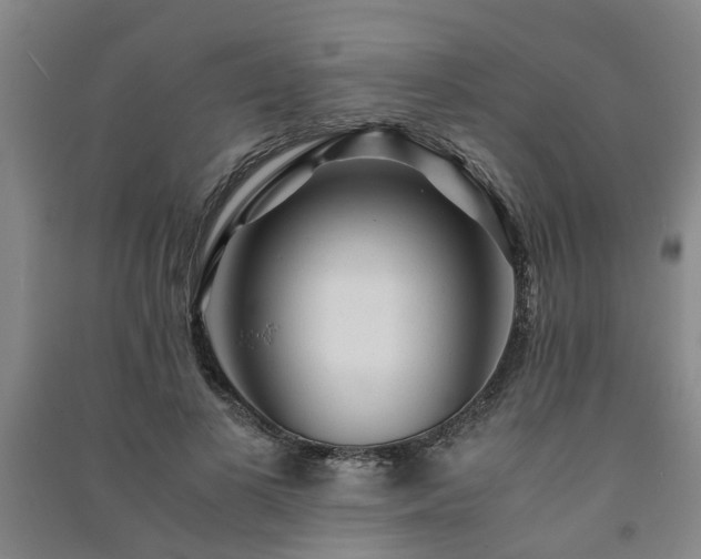 X0000091240693200708161736