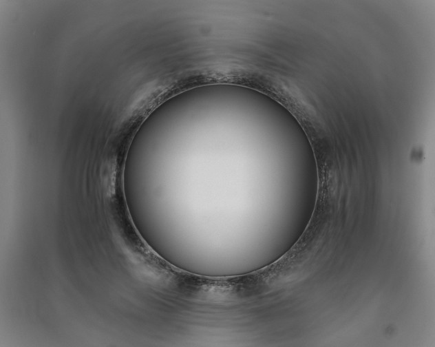 X0000091240694200708161736