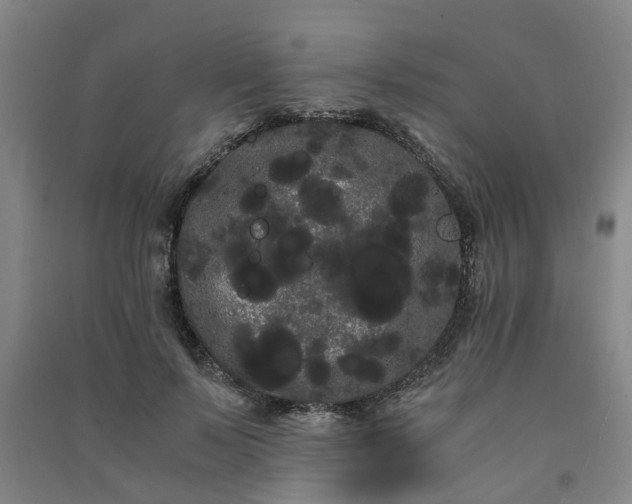 X0000091240695200708161736