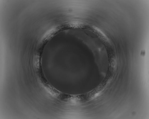 X0000091240696200708161736
