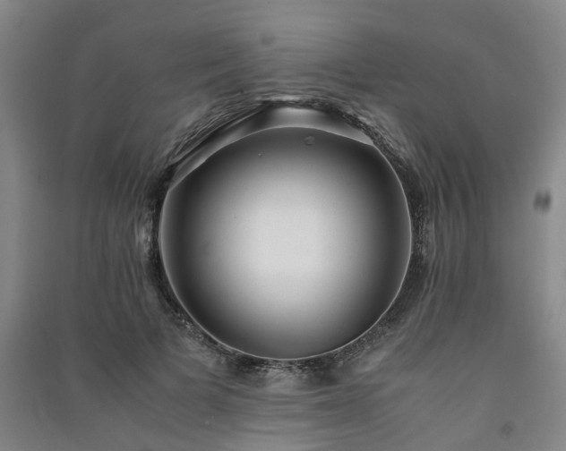 X0000091240697200708161736