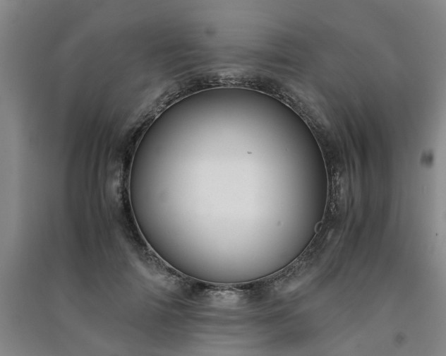 X0000091240698200708161736