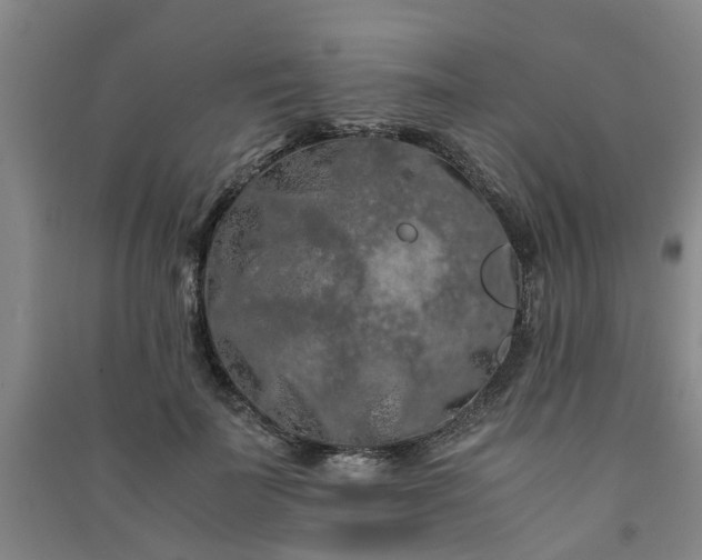 X0000091240699200708161736