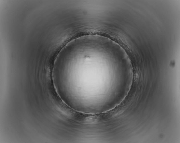 X0000091240700200708161736