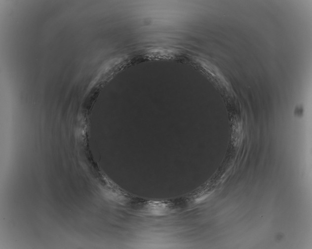 X0000091240701200708161736