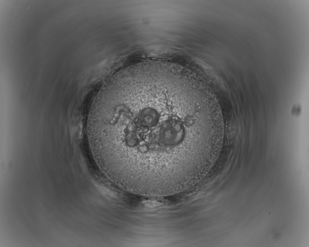 X0000091240703200708161736