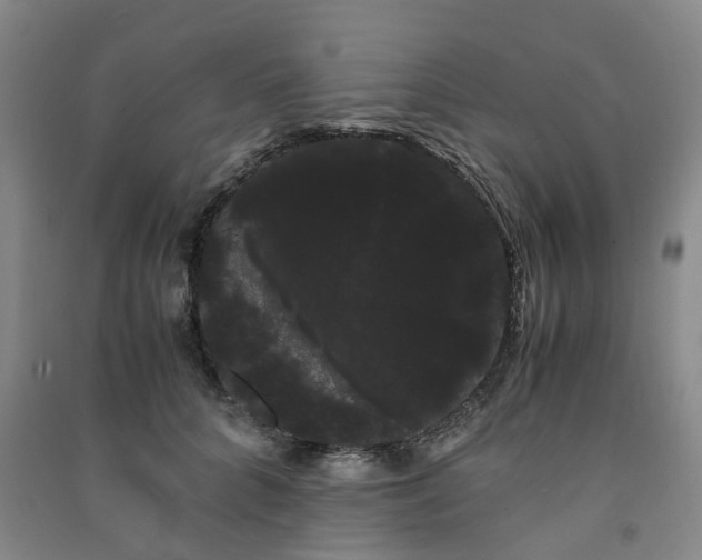 X0000091240704200708161736