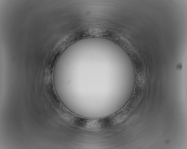 X0000091240705200708161736