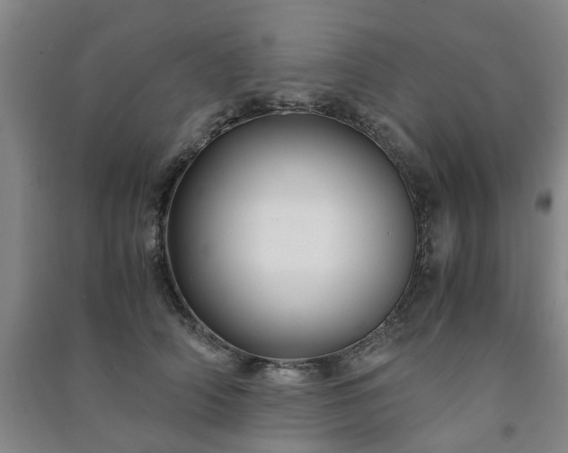 X0000091240706200708161736
