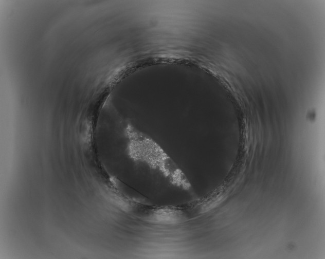 X0000091240708200708161736