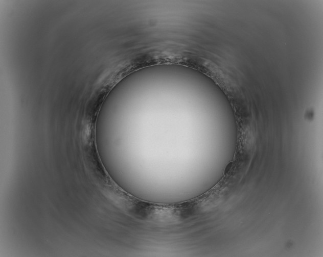 X0000091240709200708161736