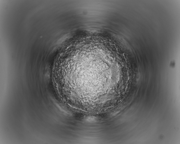 X0000091240710200708161736