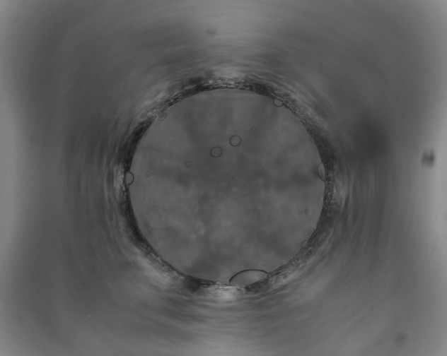 X0000091240711200708161736