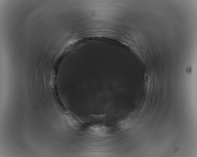 X0000091240712200708161736