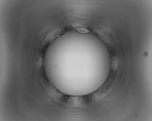 X0000091240713200708161736