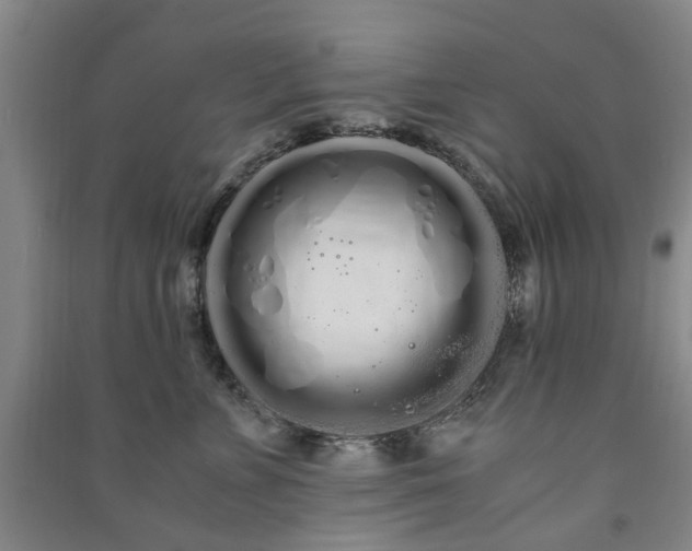 X0000091240715200708161736