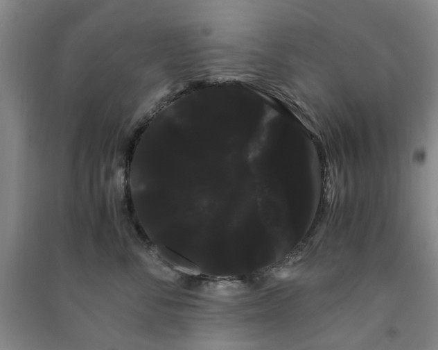 X0000091240716200708161736