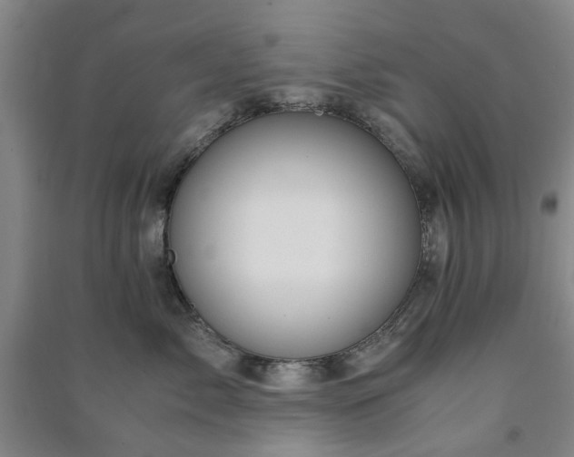 X0000091240717200708161736