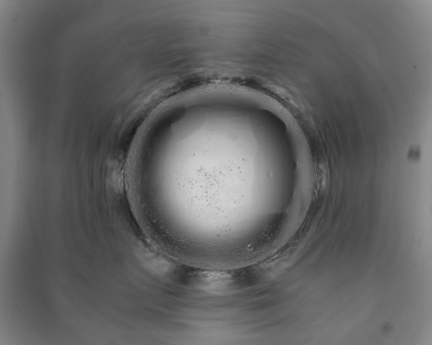 X0000091240719200708161736
