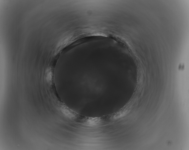 X0000091240720200708161736