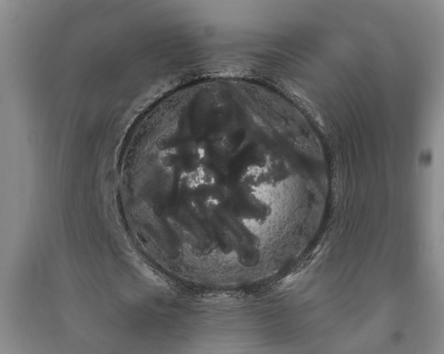 X0000091240721200708161735