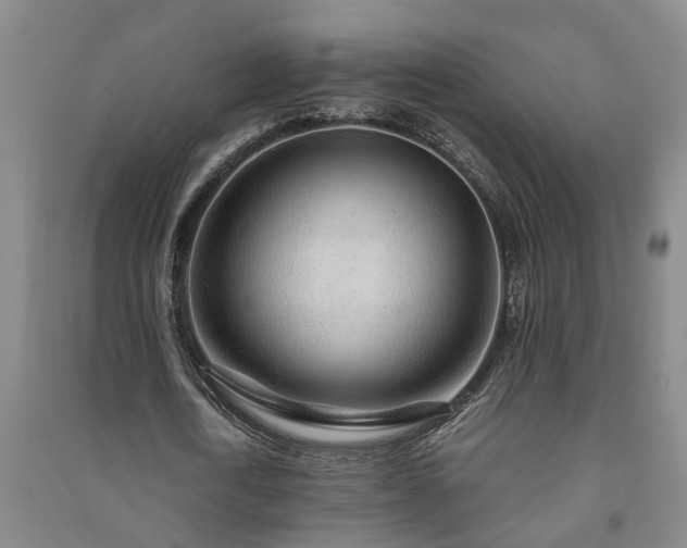 X0000091240722200708161735
