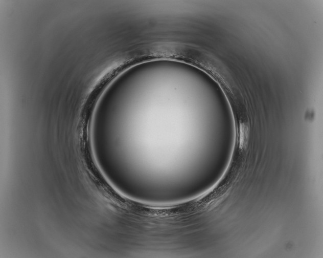 X0000091240723200708161735