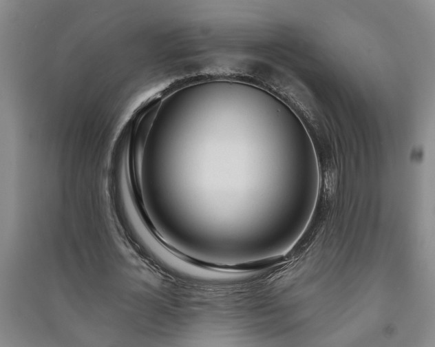 X0000091240724200708161735