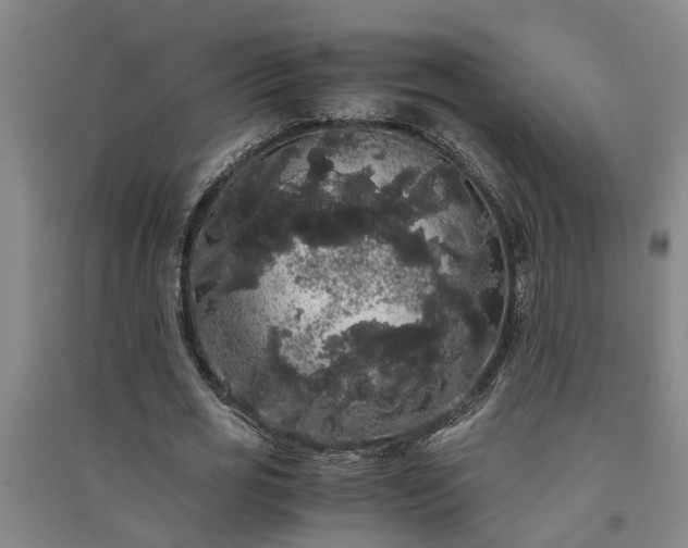 X0000091240725200708161735