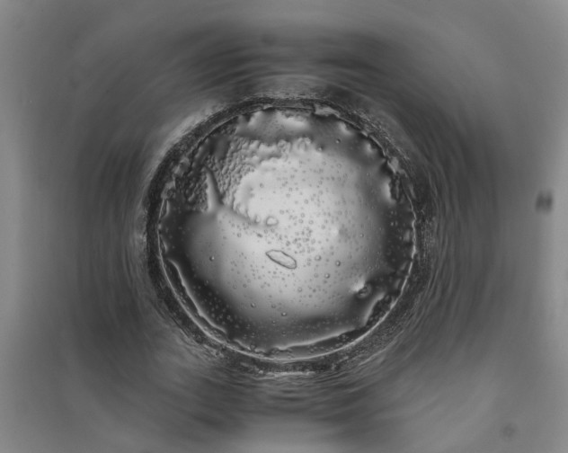 X0000091240727200708161735