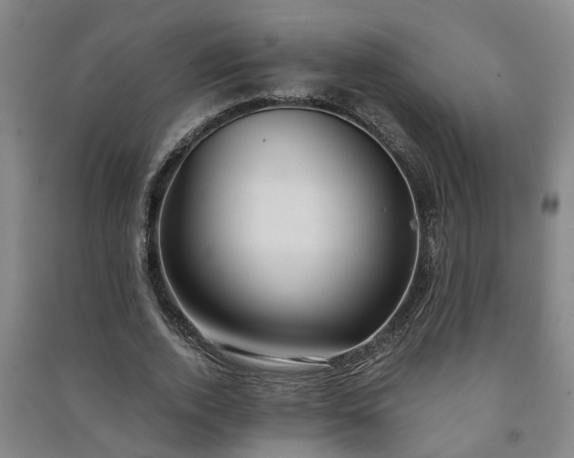 X0000091240728200708161735