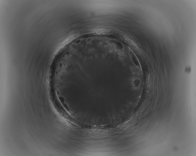 X0000091240730200708161735