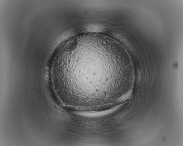 X0000091240731200708161735