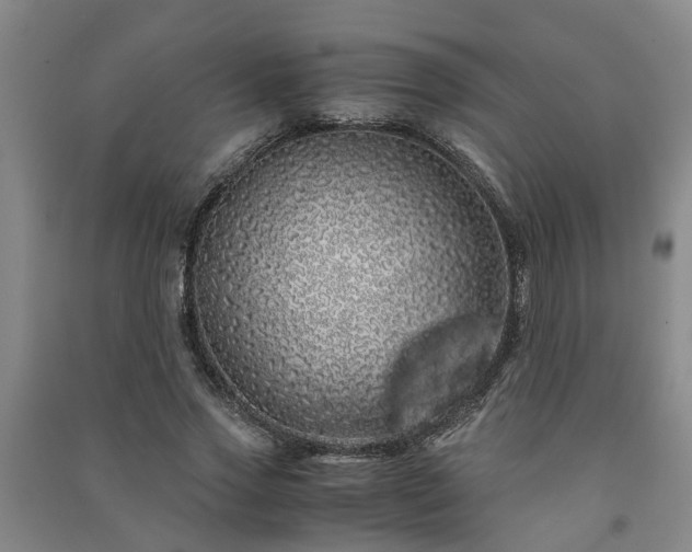 X0000091240733200708161735