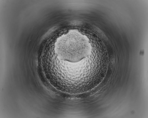 X0000091240734200708161735