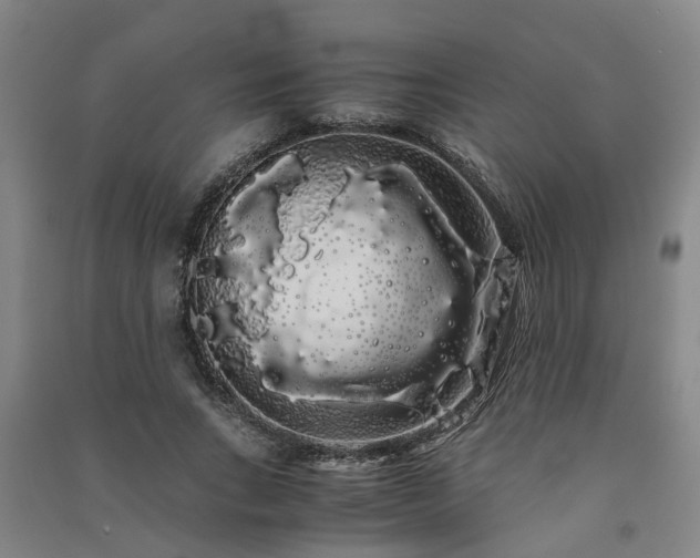 X0000091240735200708161735