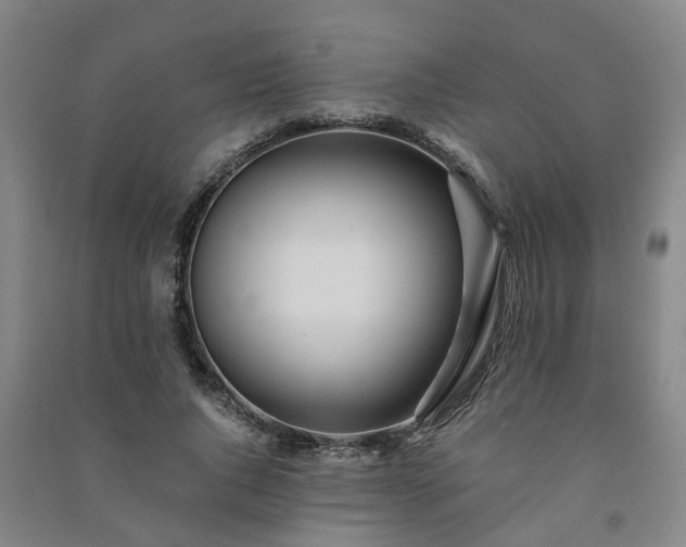 X0000091240736200708161735