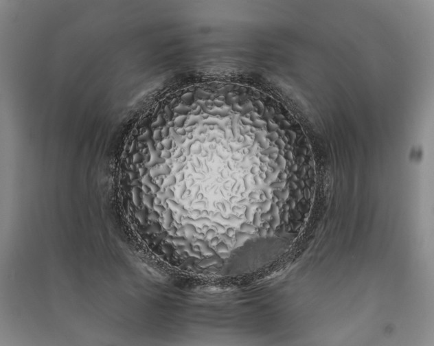X0000091240737200708161735