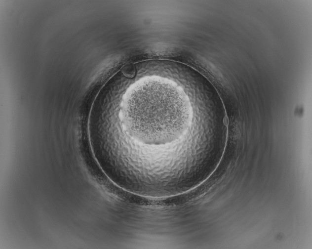 X0000091240738200708161735