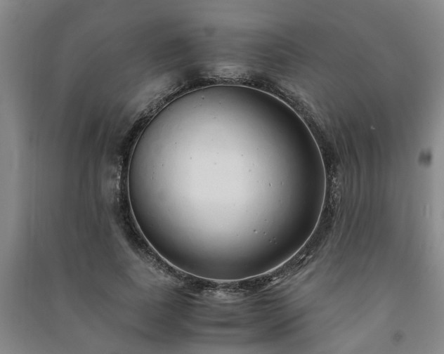 X0000091240739200708161735