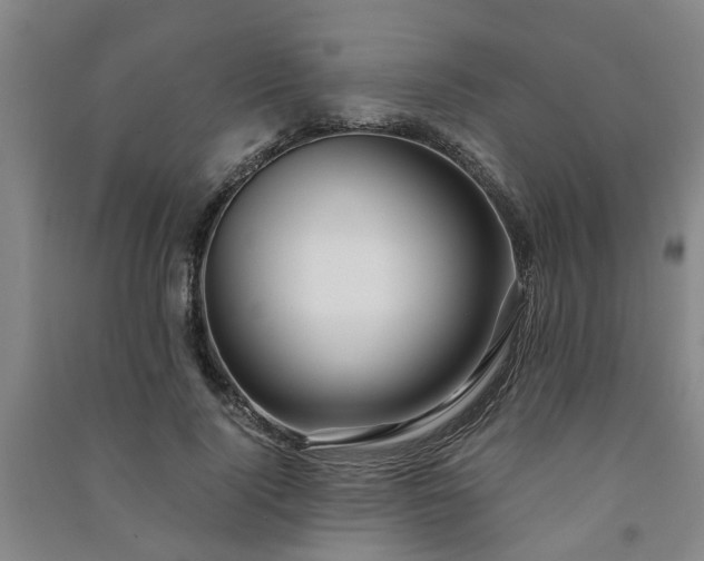 X0000091240740200708161735