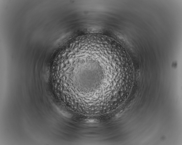 X0000091240741200708161735