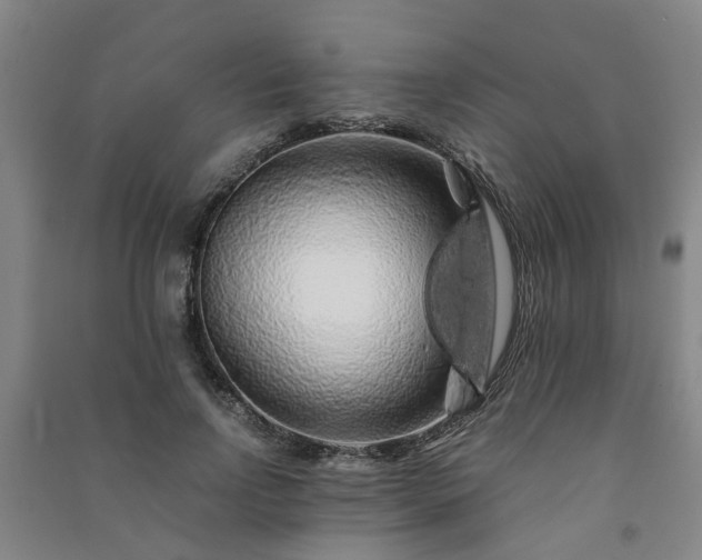 X0000091240742200708161735