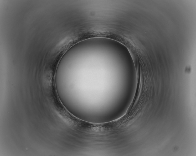 X0000091240744200708161736